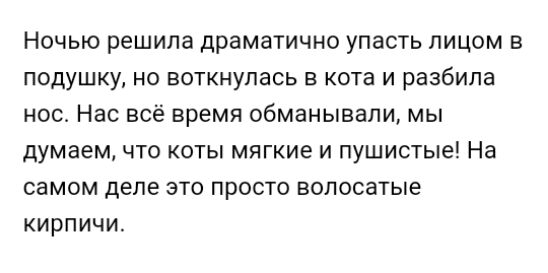 Ночью решила драматично упасть лицом в ПОДУШКУ НО ВОТКНУПЗСЬ В КОТЗ И разбила носо Нас всё время обманывали мы думаем что коты мягкие и пушистые На самом ДЕЛЕ ЭТО ПРОСТО ВОПОСЗТЫЭ кирпичи