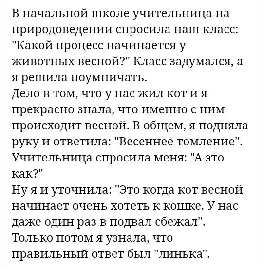 В начальной школе учительница на природоведении спросила наш класс Какой процесс начинается у животных весной Класс задумался а я решила поумничать Дело в том что у нас жил кот И я прекрасно знала что именно с ним происходит весной В общем я подняла руку и ответила Весеннее томление Учительница спросила меня А это как Ну я и уточнила Это когда кот весной начинает очень хотеть к кошке У нас даже од