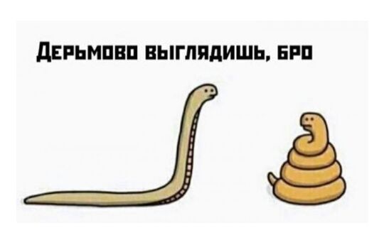 пппппппппппппппппппппп