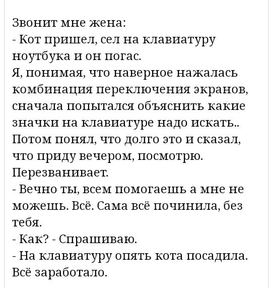 Звонит мне жена _ Кот пришел сел на клавиатуру ноутбука и он погас Я понимая что наверное нажалась комбинация переключения экранов сначала попытался объяснить какие значки на клавиатуре надо искать Потом понял что долго это и сказа что приду вечером посмотрю Перезванивает _ Вечно ты всем помогаешь а мне не можешь Все Сама все починила без тебя _ Как _ Спрашиваю _ На клавиатуру опять кота посадила 