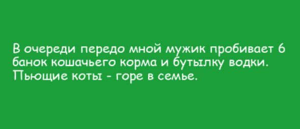 В очереди передо мной м кик пробивает 6 банок кошачьего корма и утьшку водки Пьющие коты горе в семье