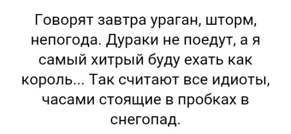 Говорят завтра ураган шторм непогода Дураки не поедут а я самый хитрый буду ехать как король Так считают все идиоты часами стоящие в пробках в снегопад