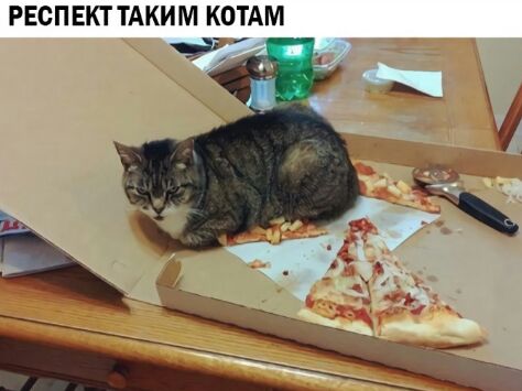 РЕСПЕКТТАКИМ комм ч