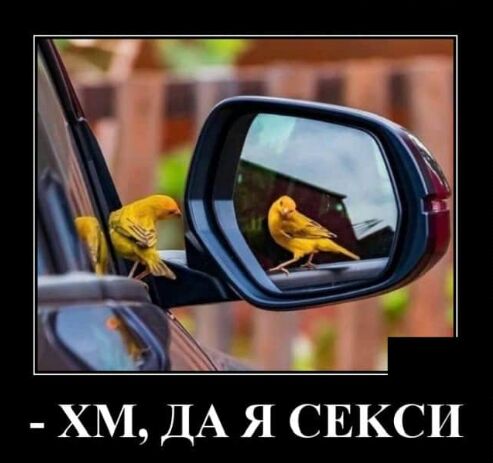 ХМ ДА Я СЕКСИ
