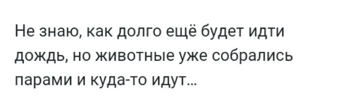 Не знаю как долго ещё будет идти дождь но животные уже собрались парами и куда то идут
