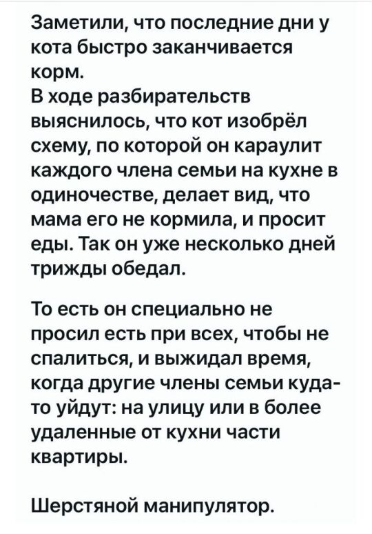 Заметили что последние дни у кота быстро заканчивается корм В ходе разбирательств выяснилось что кот изобрёл схему по которой он караупит каждого члена семьи на кухне в одиночестве делает вид что мама его не кормила и просит еды Так он уже несколько дней трижды обедал То есть он специально не просил есть при всех чтобы не спалиться и выжидал время когда другие члены семьи куда то уйдут на улицу ил