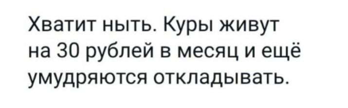 Хватит ныть Куры живут на 30 рублей в месяц и ещё умудряются откладывать