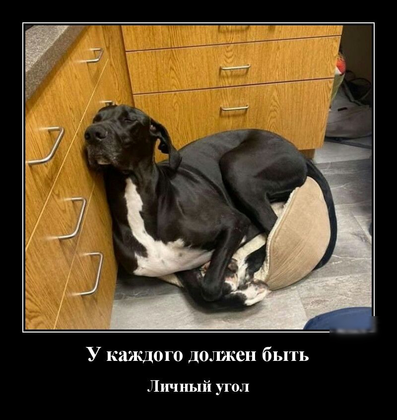 У каждого должен быть Личный угол