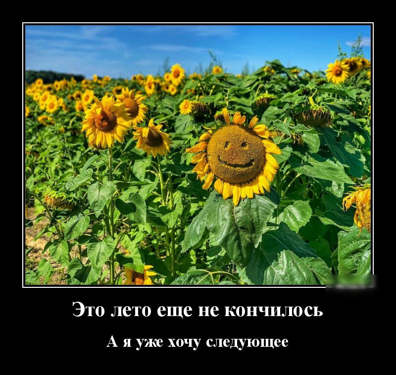 Это лето еще не кончилось А я уже хочу следующее
