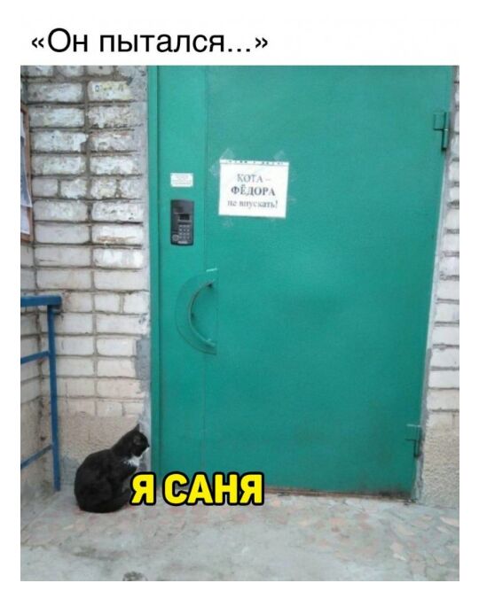Он пытался