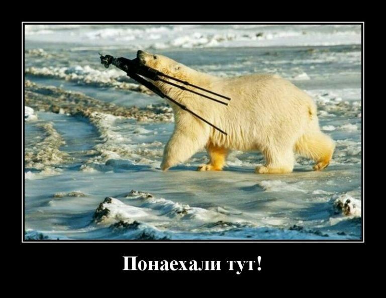 Понаехали тут