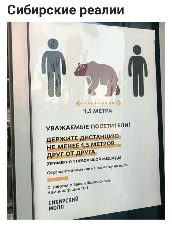 СИБИРСКИе реалии __ 15мвтрд УВАЖАЕМЫЕ ПОСЕТИТЕЛИ П9ИМЕРНО 1 НЕБОЛЬШОЙ МЕДВЕДЬ Обращайи внимание на размегку на полу