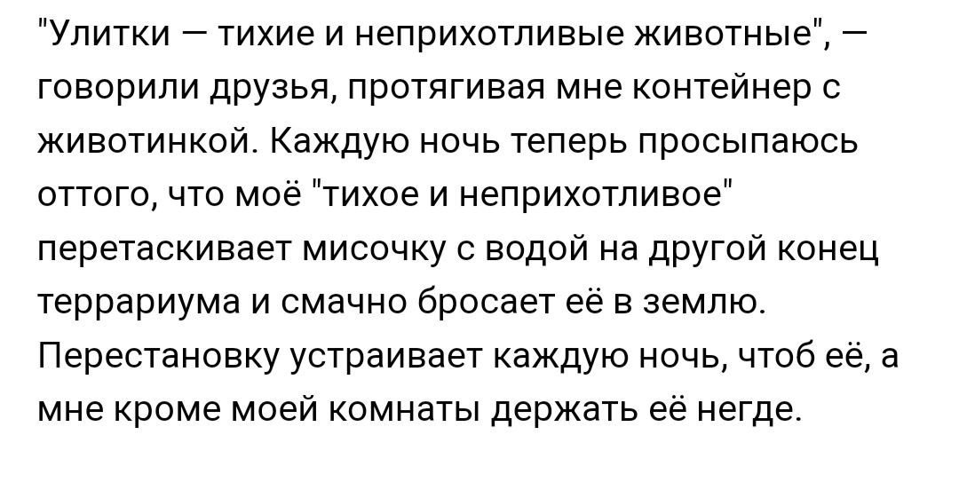 Улитки тихие и неприхотливые животные говорили друзья протягивая мне контейнер с животинквй Каждую ночь теперь просыпаюсь оттого что мое тихое и неприхотливое перетаскивает мисочку с водой на другой конец террариума и смачно бросает её в землю Перестановку устраивает каждую ночь чтоб ее а мне кроме моей комнаты держать её негде