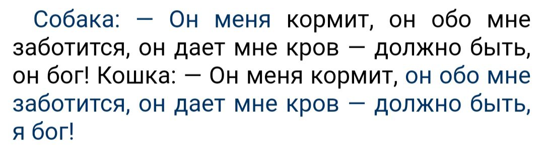 Собака Он меня кормит он обо мне заботится он дает мне кров дапжно быть он бог Кошка Он меня кормит он обо мне заботится он дает мне кров должно быть я бог