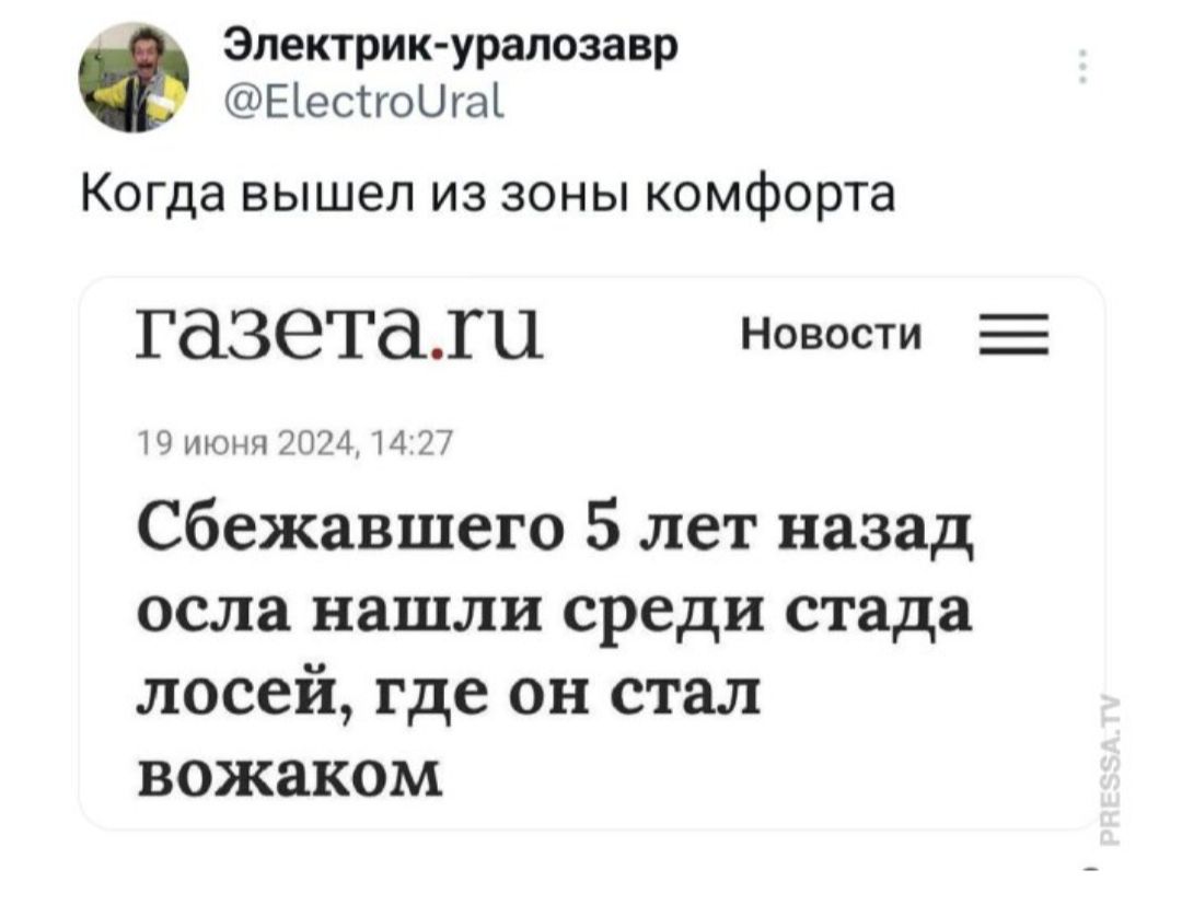 электрик уратзавр Еіесігошгаі Когда вышел из зоны комфорта Газетаіи Новости _ мм чт сбежавшего 5 лет назад если наши среди стада лосей где он стал вожаком