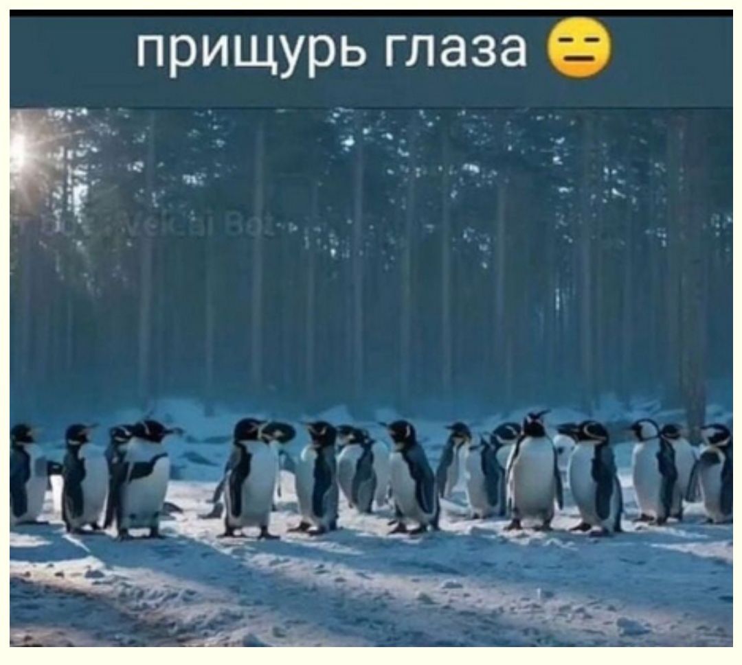 прищурь глаза