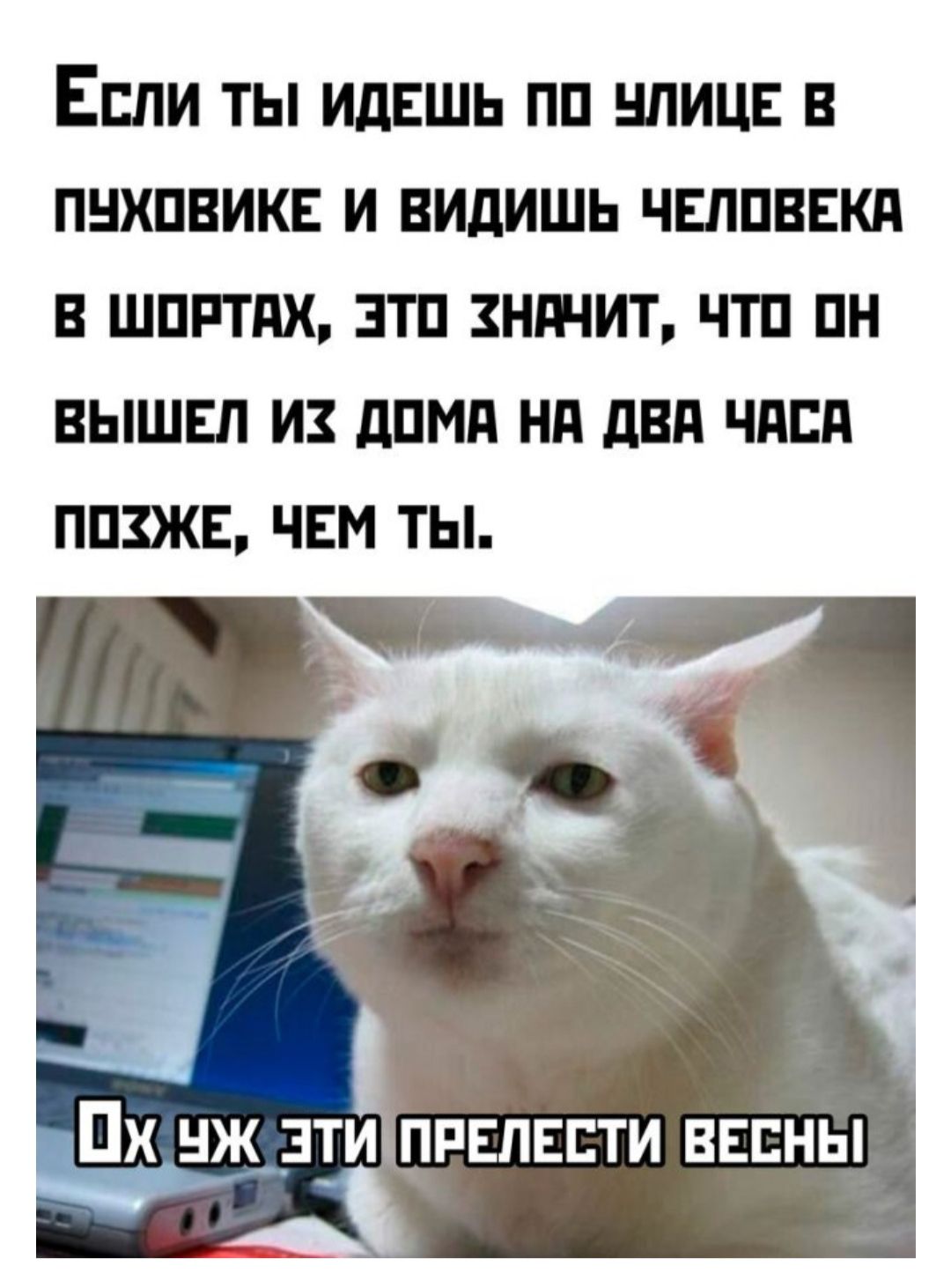 Если ты идёшь по улице в пуховике и видишь человека в шортах, это значит, что он вышел из дома на два часа позже, чем ты.

Ох уж эти прелести весны