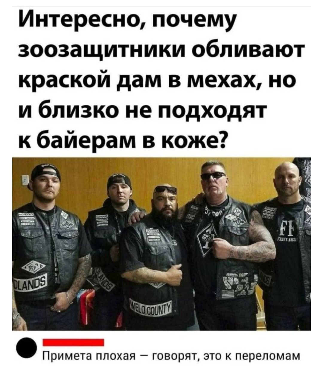 Интересно, почему зоозащитники обливают красной дам в мехах, но и близко не подходят к байерам в коже?

Примета плохая — говорят, это к переломам.