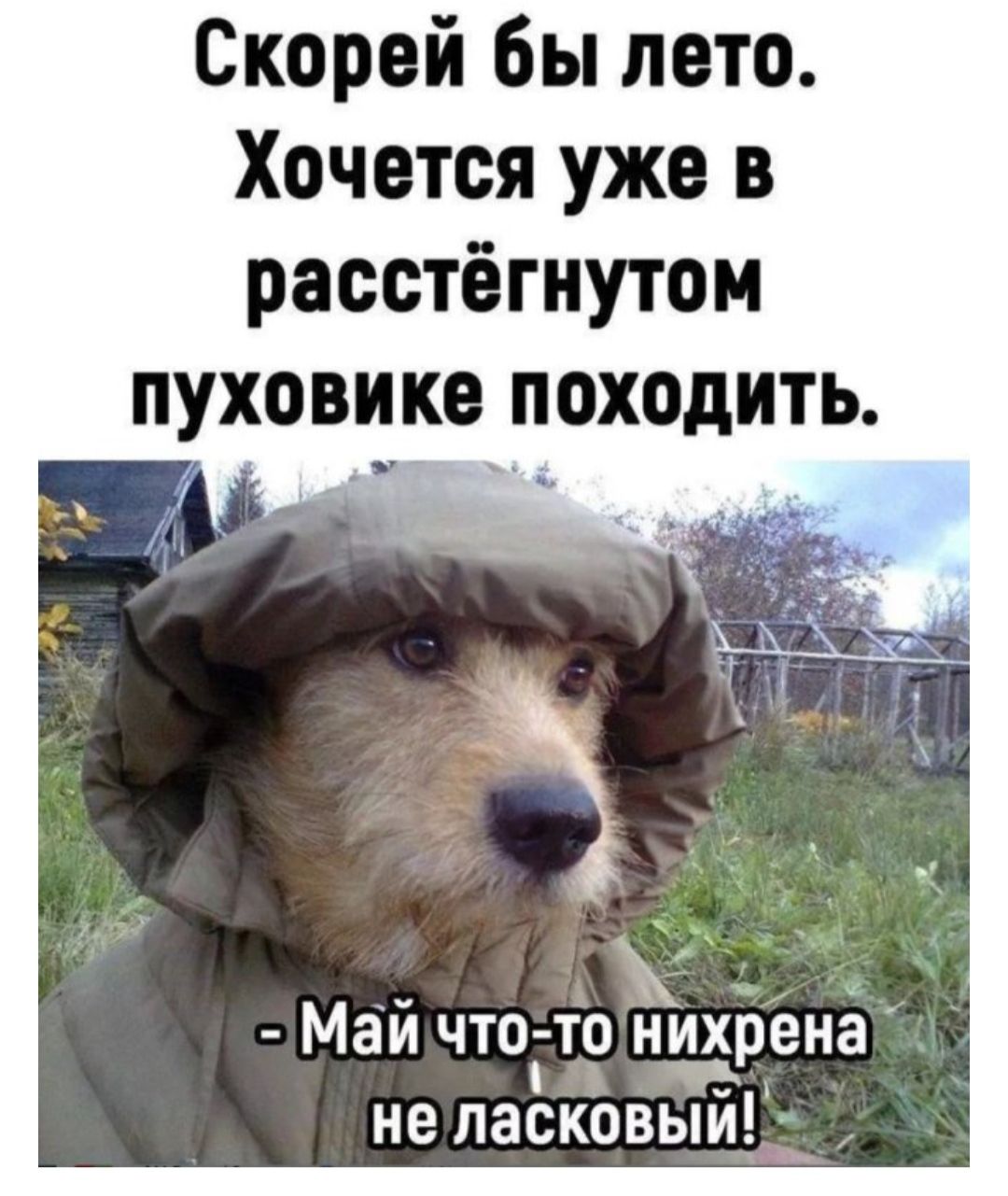 Скорей бы лета. Хотится уже в расстёгнутом пуховике походить.
- Май что-то нихрена не ласковый!