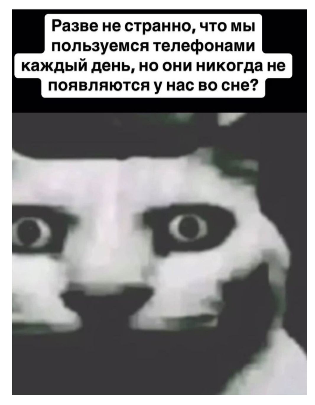 Разве не странно, что мы пользуемся телефонами каждый день, но они никогда не появляются у нас во сне?