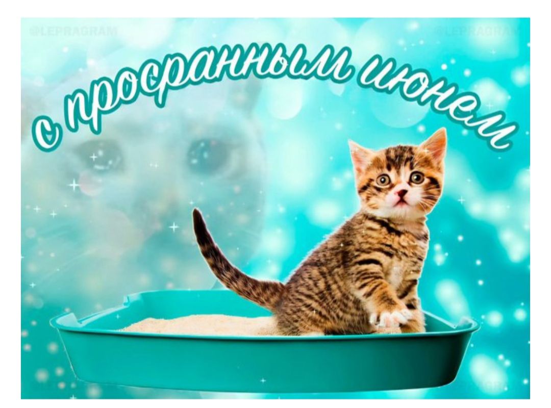с просранным шонем