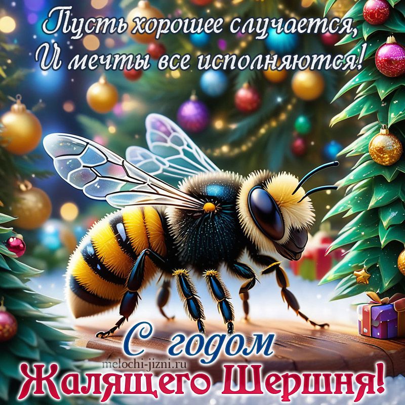 а ронвоы мечты все исполняютей иотивее о ю