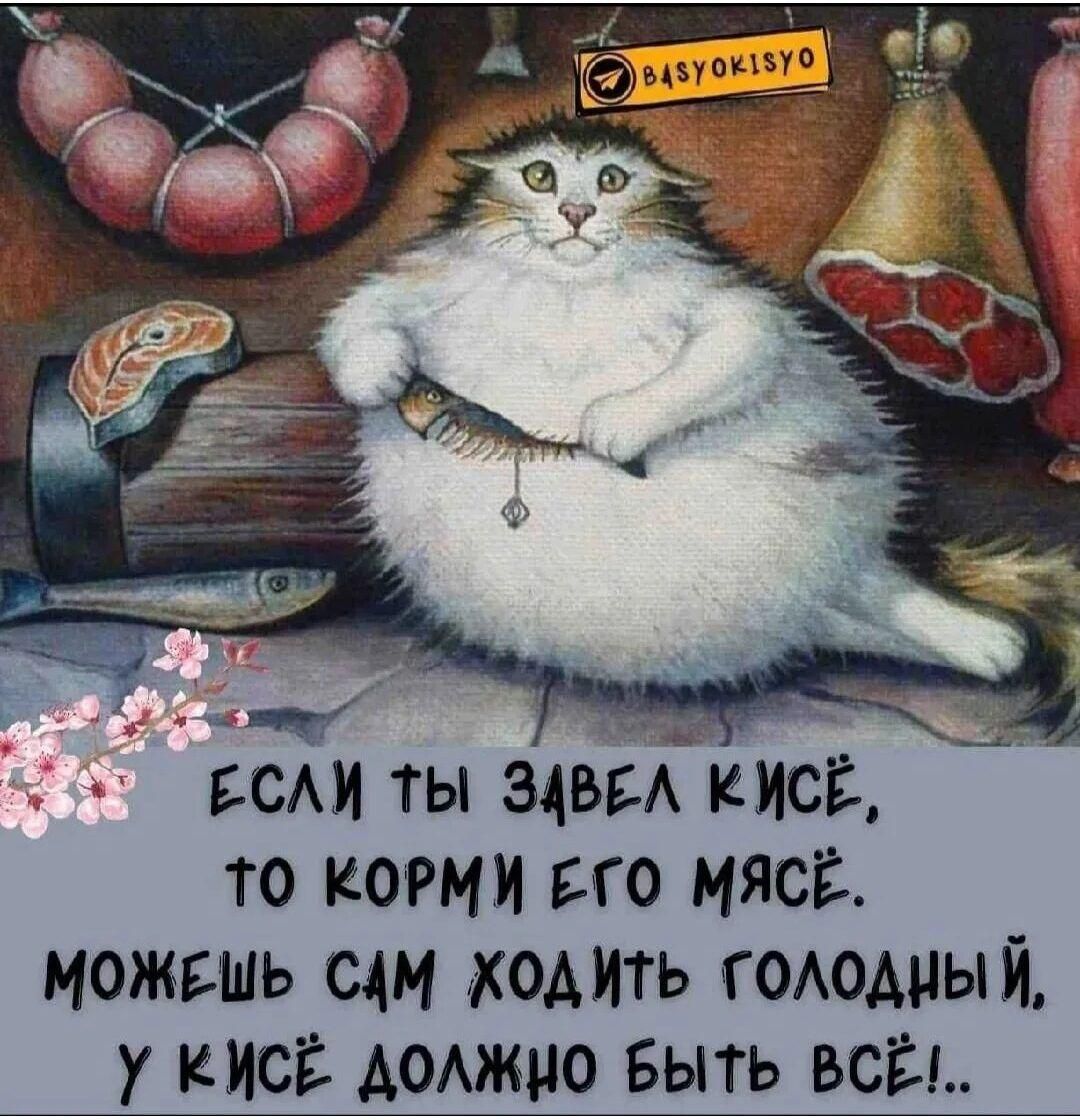 ЕСЛИ ТЫ ЗАВЕЛ КИСЬ, ТО КОРМИ ЕГО МЯСОМ. МОЖЕШЬ САМ ХОДИТЬ ГОЛОДНЫЙ, У КИСИ ДОЛЖНО БЫТЬ ВСЁ!.