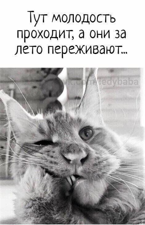Тут молодость проходит, а они за лето переживают...