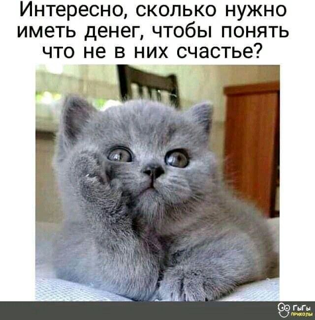 Интересно, сколько нужно иметь денег, чтобы понять что не в них счастье?
