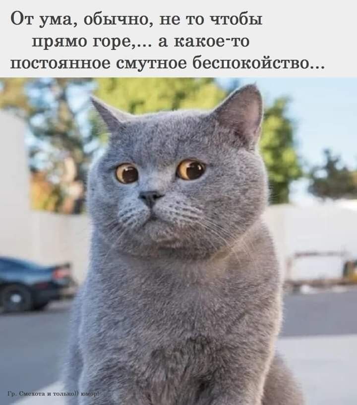 От ума, обычно, не то чтобы прямо горе,... а какое-то постоянное смутное беспокойство...