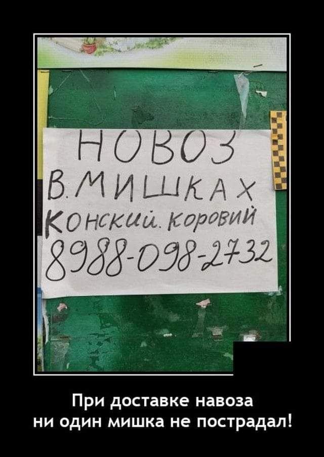 Г к Н О Б 05 В М И ДЦА _ КСМэтим Карри13 При доставке навоза ни один мишка не пострадал