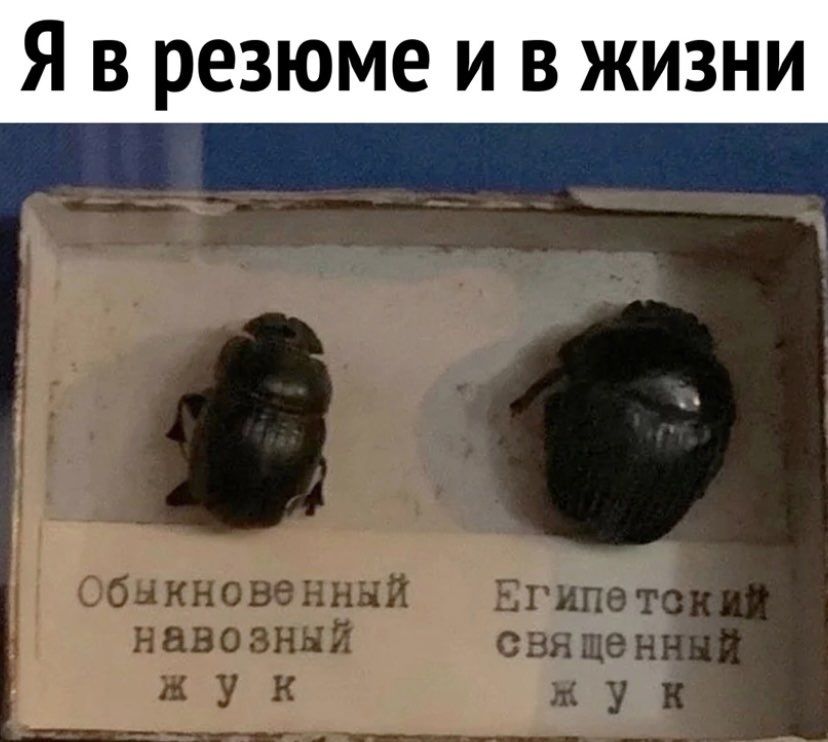 Я в резюме и в жизни