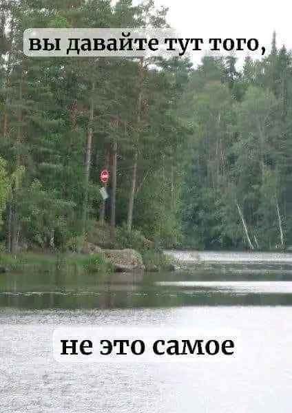 не это самое