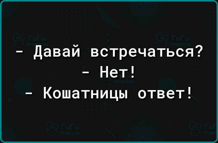 Давай встречаться Нет Кошатницы ответ