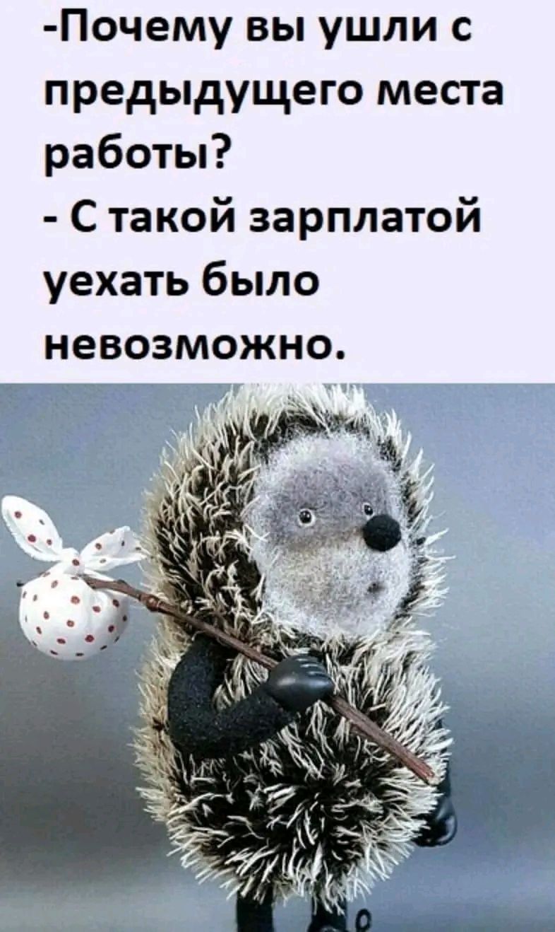 Почему вы ушли с предыдущего места работы Стакой зарплатой уехать было невозможно