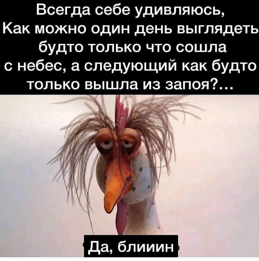 Всегда себе удивляюсь Как можно один день выглядеть будто только что сошла с небес а следующий как будто только вышла из запоя Да блииин