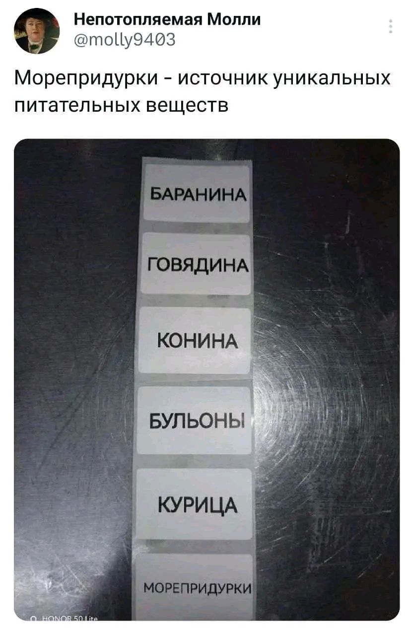 е Непотопляемая Молли Морепридурки источник уникальных питательных веществ КОНИНА БУЛЬОНЫ