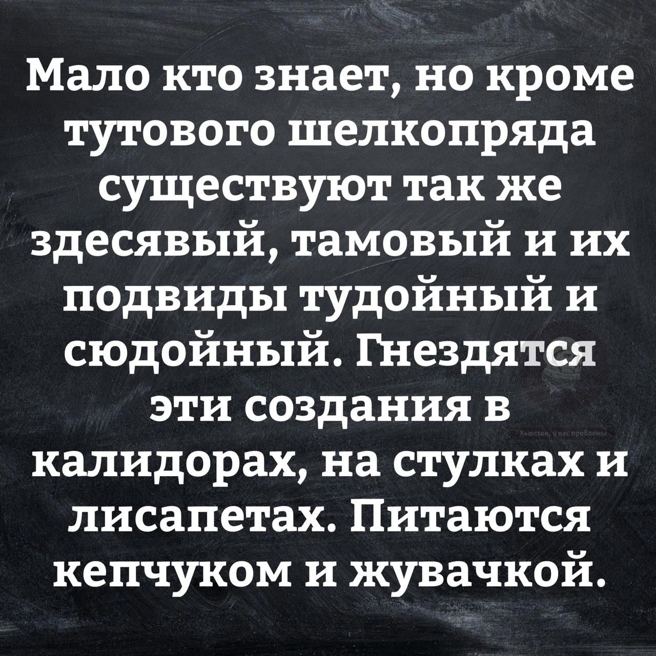 Мало кто знает но кроме тутового шелкопряда существуют так же здесявый тамовый и их подвиды тудойный и сюдойный Гнездятся эти создания в калидорах на стулках и лисапетах Питаются кепчуком и жувачкой