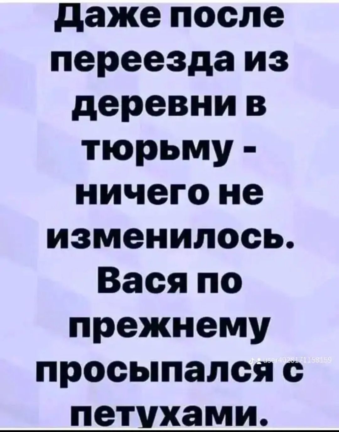 Даже после переезда из деревни в тюрьму ничего не изменилось Вася по прежнему просыпался с петухами