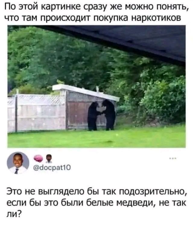 По этой картинке сразу же можно понять что там происходит покупка наркотиков досран0 Это не выглядело бы так подозрительно если бы это были белые медведи не так ли