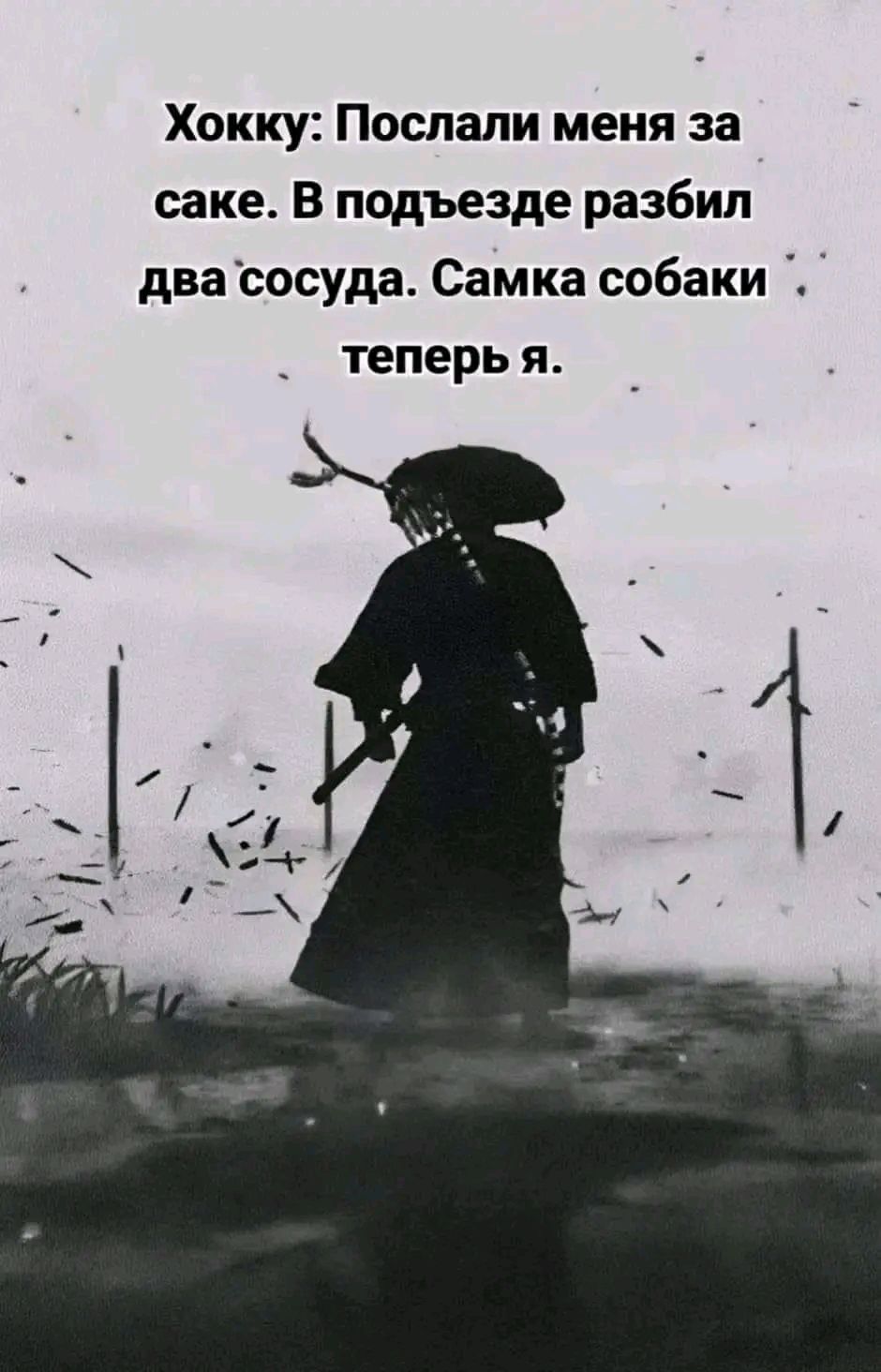 Хокку Послали меня за саке В подъезде разбил два сосуда Самка собаки теперь я