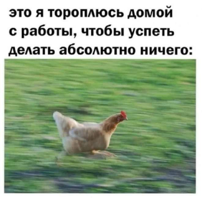 это я тороплюсь домой с работы чтобы успеть делать абсолютно ничего
