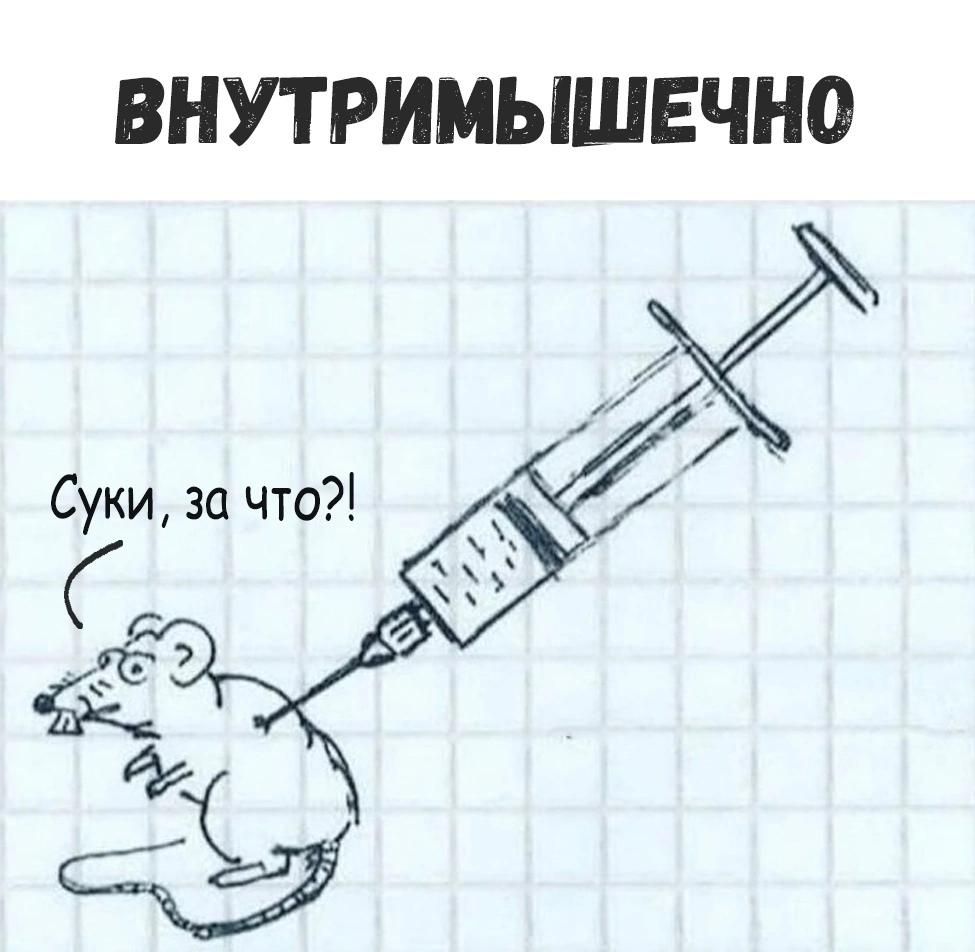 ВНУТРИМЫШЕЧНО