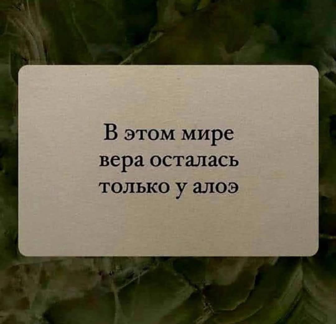 В этом мире вера осталась только у алоэ