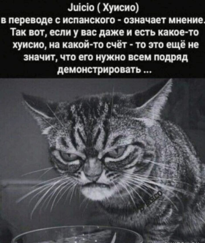 Эиею Хуисио в переводе с испанского означает мнение Так вот если у вас даже и есть какое то хуисио на какой то счёт то это ещё не значит что его нужно всем подряд демонстрировать