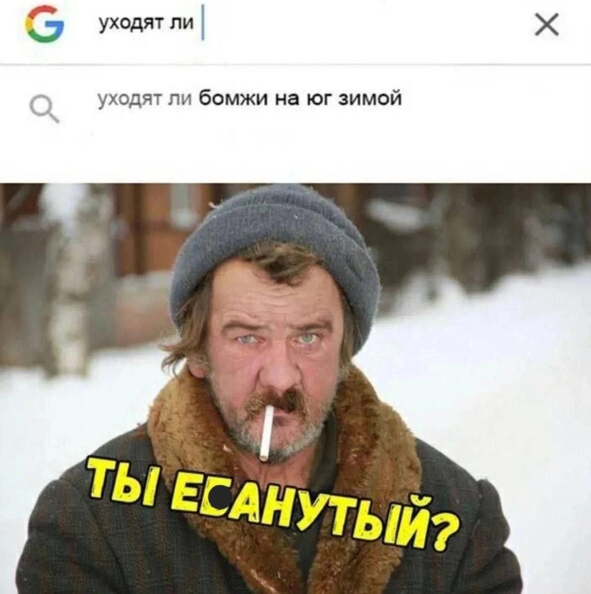 ухолятли х уходят ли бомжи на юг зимой