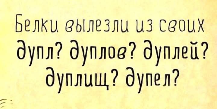 а Белки вылезли из своих дупл дуплов дуплей дуплищ дупел