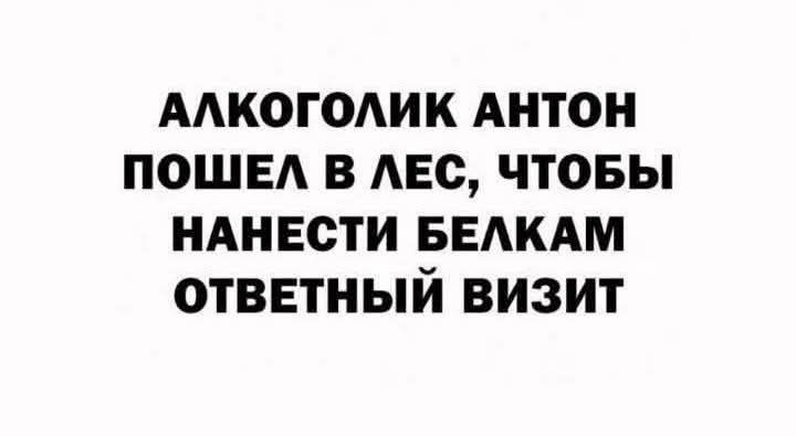 Алкоголик антон пошел в лес, чтобы нанести белкам ответный визит