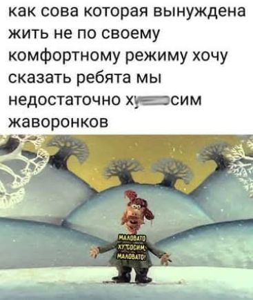 как сова которая вынуждена жить не по своему комфортному режиму хочу сказать ребята мы недостаточно х█████ным жаворонков