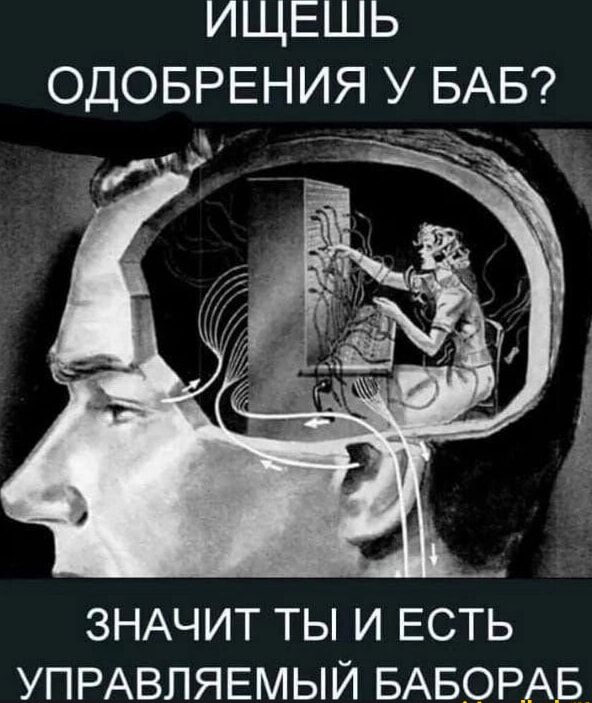ИЩЕШЬ ОДОБРЕНИЯ У БАБ?
ЗНАЧИТ ТЫ И ЕСТЬ УПРАВЛЯЕМЫЙ БАБОРAB